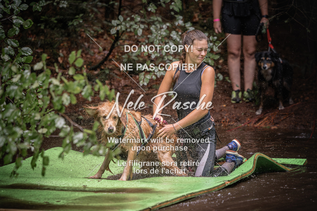 nelerasche_Wingst_Sa1330-1400_330 | nelerasche