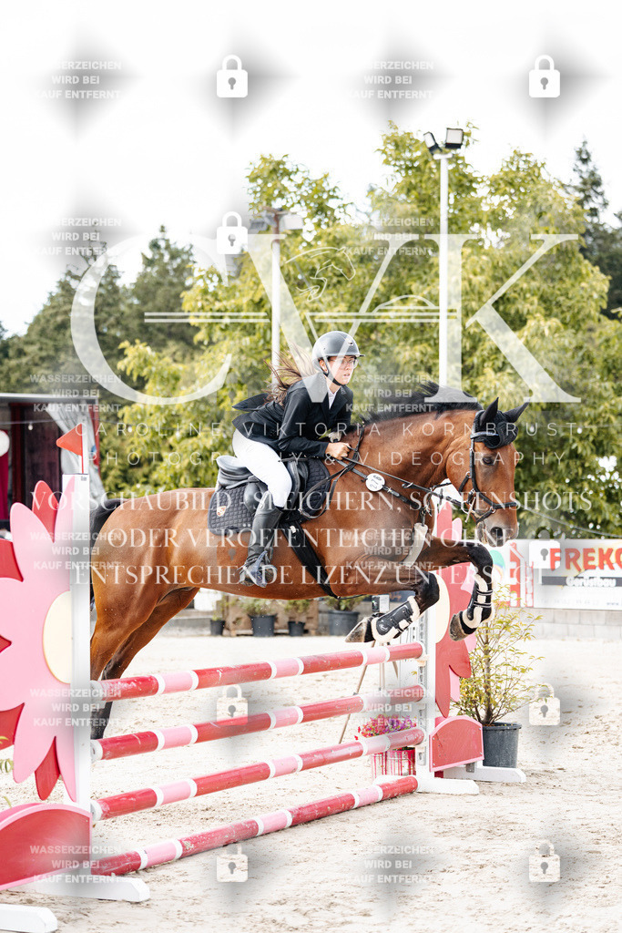 CK902805 | Turnierfotografie Pferdefotografie Trier Rheinland-Pfalz Pferdesport Reitsport Tierfotografie Sportfotografie Pferdevideo Pferdevideografie Equestrianvideography equestrianphotography  - Realisiert mit Pictrs.com
