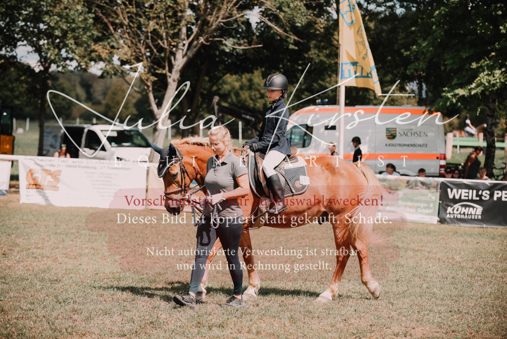 DSC_5956 | Pferde- und Turnierfotografie in Westsachsen. Pferdeportraits, Auftragszeichnungen und intuitive Kunst.