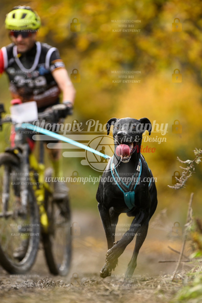 MompixPhotography_ICF_WC_2024_SA_Bike_-364 | PayLife