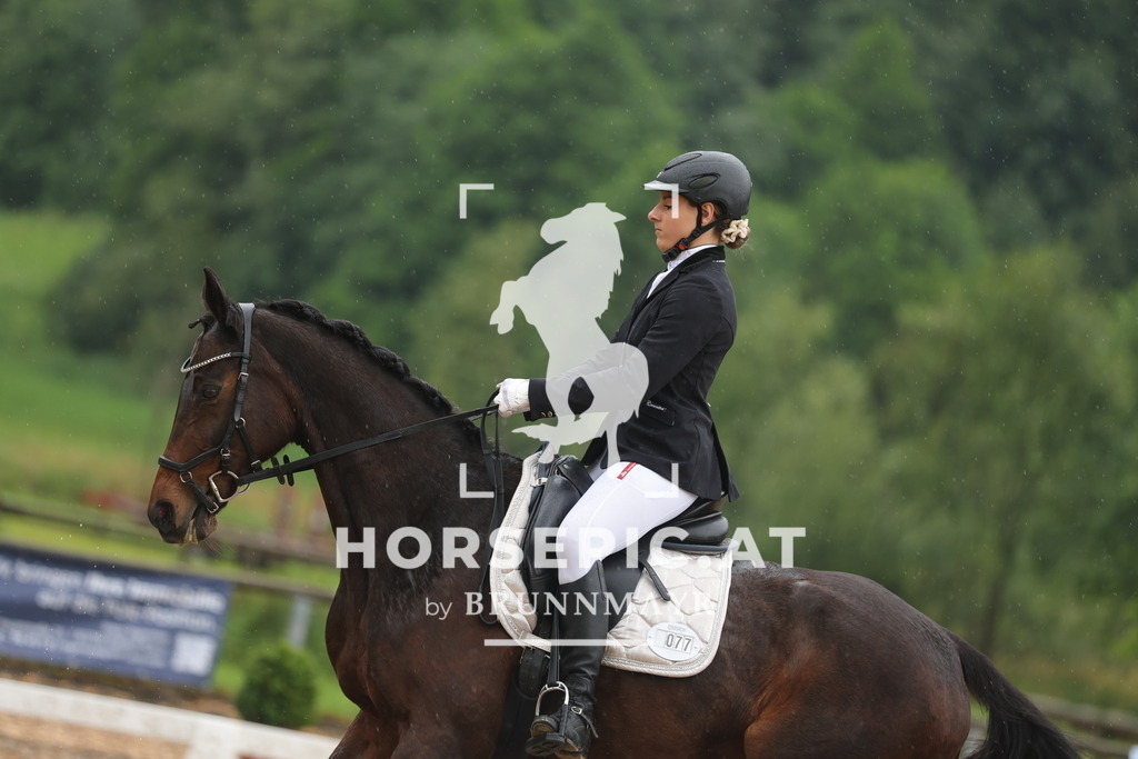 0P6A8555 | Willkommen bei Brunnmayr - Design & Fotografie – Ihrem Spezialisten für Reitturniere und Pferdeveranstaltungen in Oberösterreich, Salzburg und Bayern! Seit über 17 Jahren sind wir leidenschaftlich dabei.