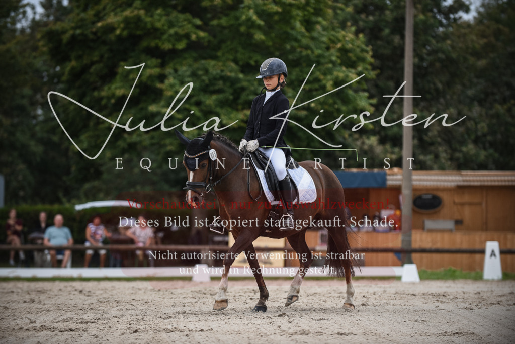 DSC_8127 | Pferde- und Turnierfotografie in Westsachsen. Pferdeportraits, Auftragszeichnungen und intuitive Kunst.