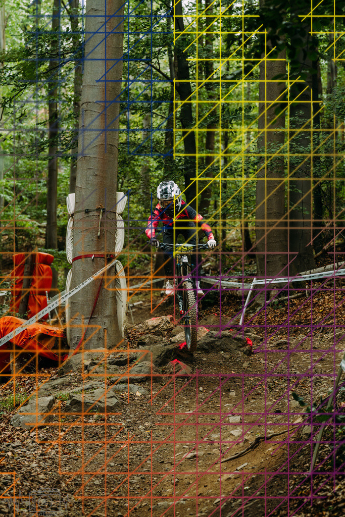 PAE-1558 | Einzigartige Fotokunst für dein Zuhause: Entdecke hochwertige Wandbilder, edle Prints und emotionale Motive von Wildlife, Natur und Landschaften - Realisiert mit Pictrs.com