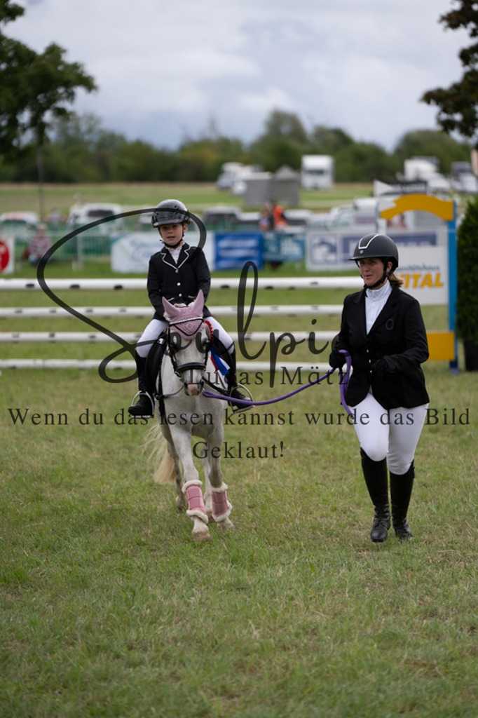 A7V05713 | Pferdefotograf