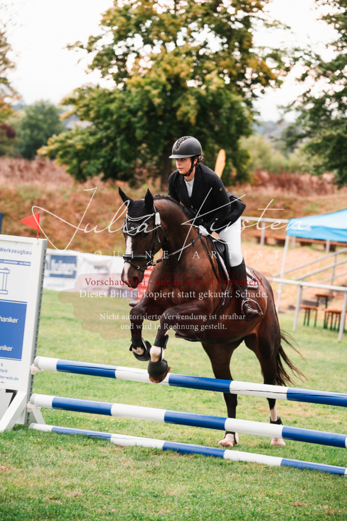 DSC_5836 | Pferde- und Turnierfotografie in Westsachsen. Pferdeportraits, Auftragszeichnungen und intuitive Kunst.