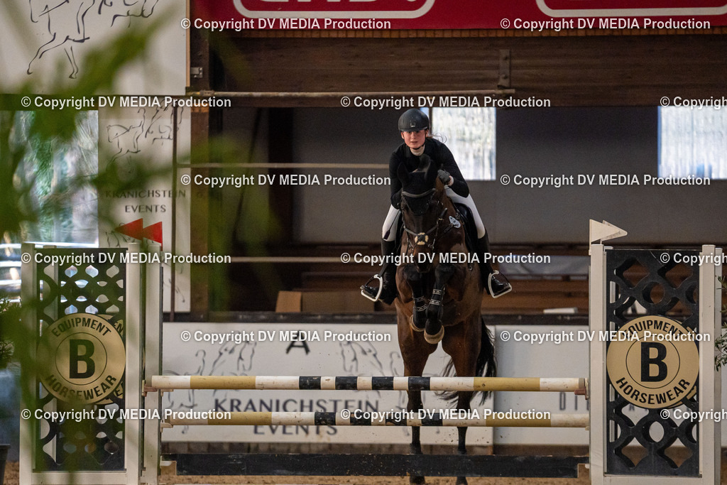 Kranichstein Tag 1-363 | dv-media-shop - Realisiert mit Pictrs.com