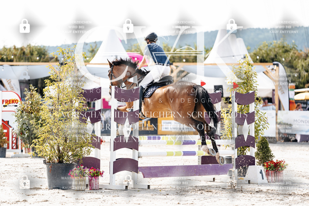 CK905467 | Turnierfotografie Pferdefotografie Trier Rheinland-Pfalz Pferdesport Reitsport Tierfotografie Sportfotografie Pferdevideo Pferdevideografie Equestrianvideography equestrianphotography  - Realisiert mit Pictrs.com