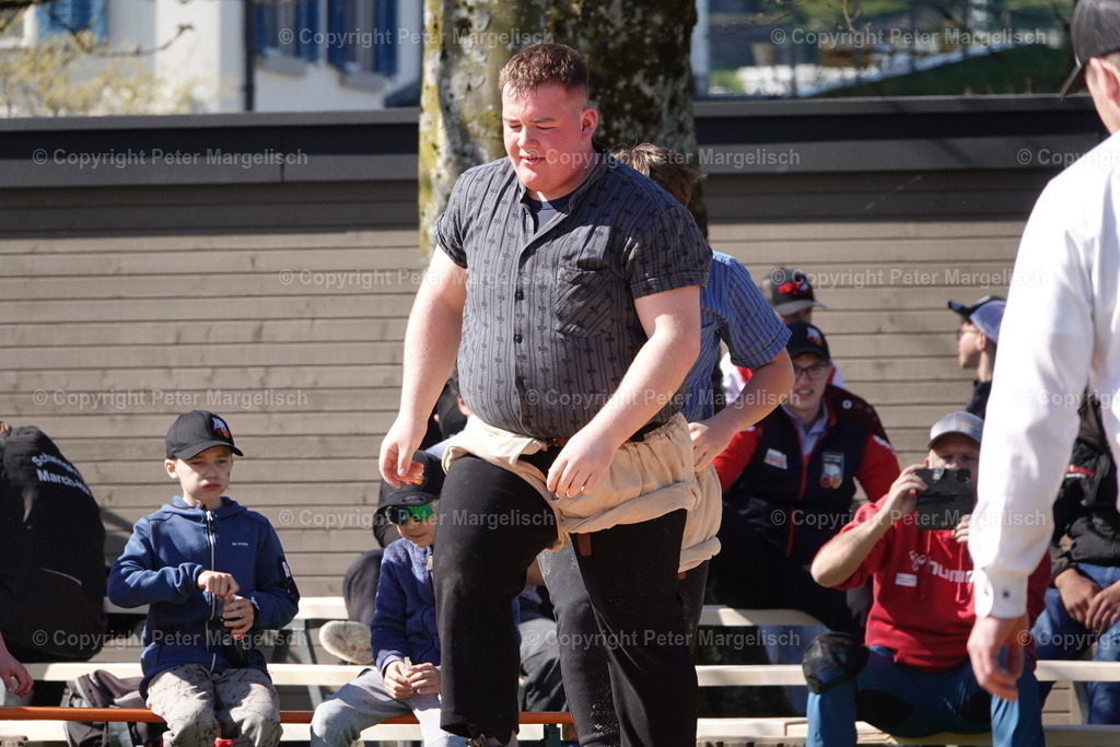 DSC02279 | Schwingen - Realisiert mit Pictrs.com