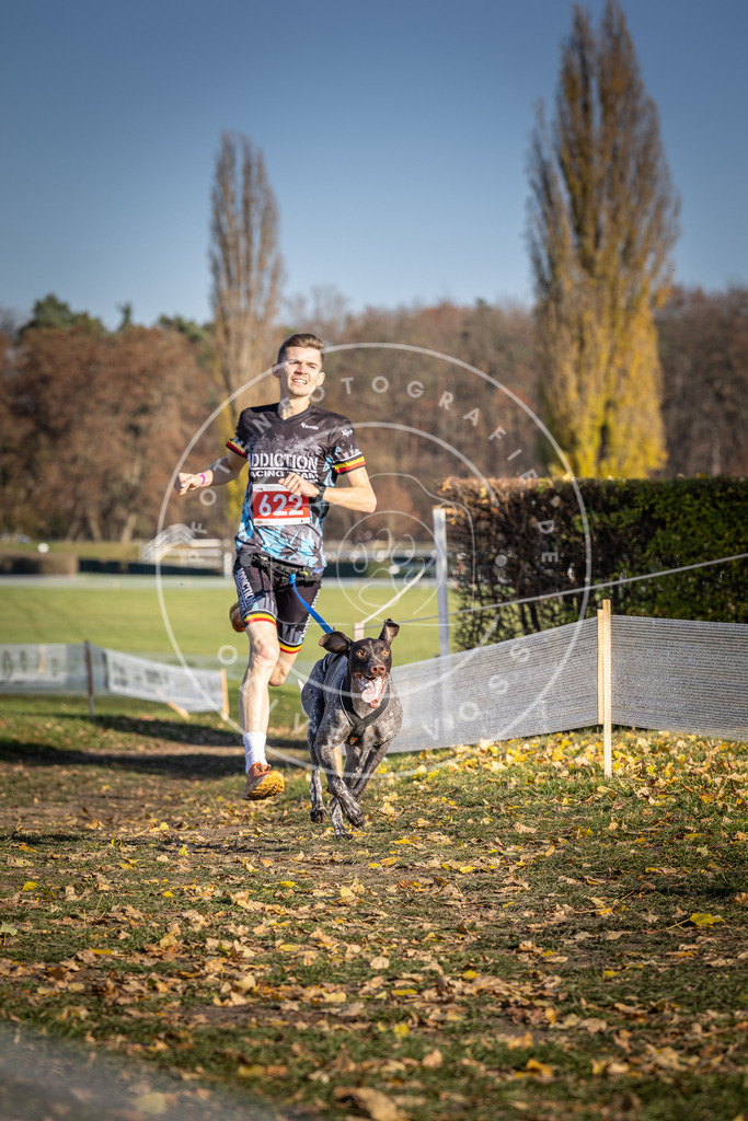 CaniXpix_DV3A9935 | Hundefotografie, Tierfotograf, Pfotenfotografie, Fotoshooting Hund, Hunde Portrait, Hundesport, Hundeportraits, Heideshooting, Hunde, Sportfotograf, Hundefotograf, Turnierhundsport, THS,  - Realisiert mit Pictrs.com