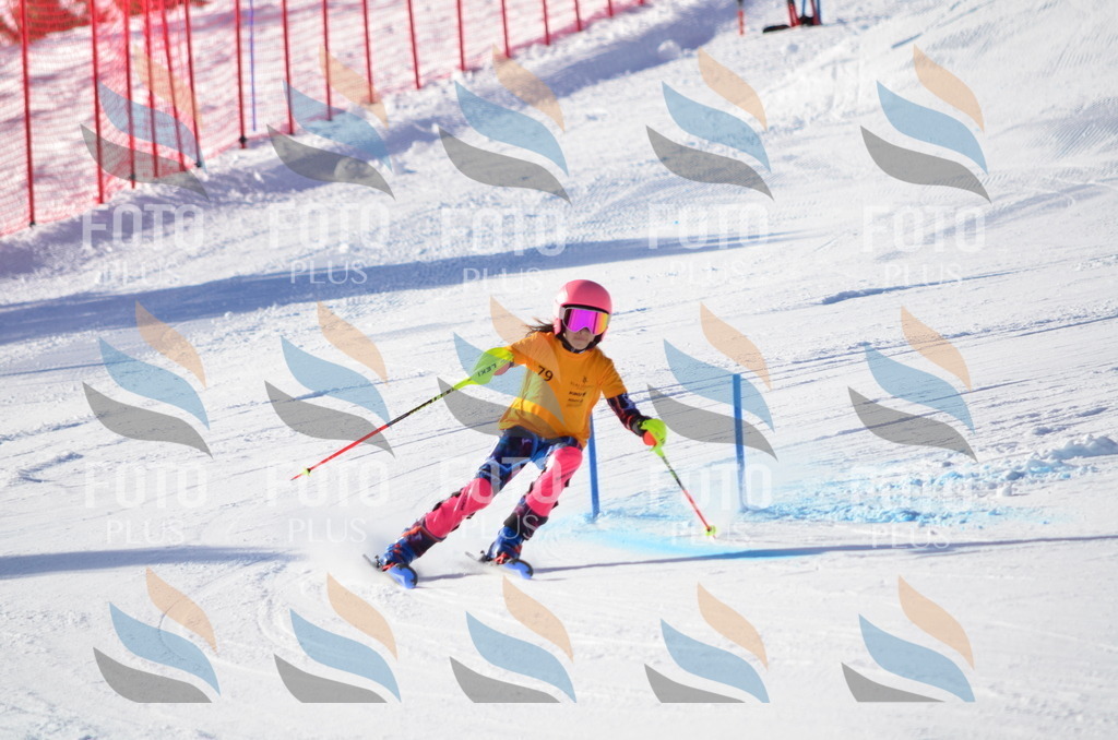 C5966 | holidayphoto