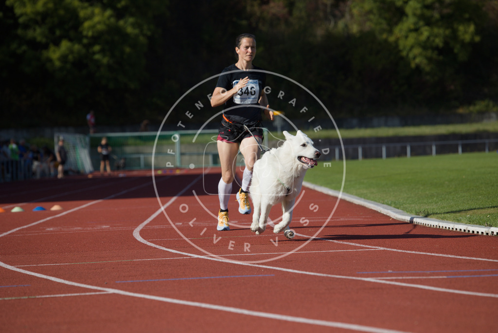 0L8A9403 | Hundefotografie, Tierfotograf, Pfotenfotografie, Fotoshooting Hund, Hunde Portrait, Hundesport, Hundeportraits, Heideshooting, Hunde, Sportfotograf, Hundefotograf, Turnierhundsport, THS,  - Realisiert mit Pictrs.com