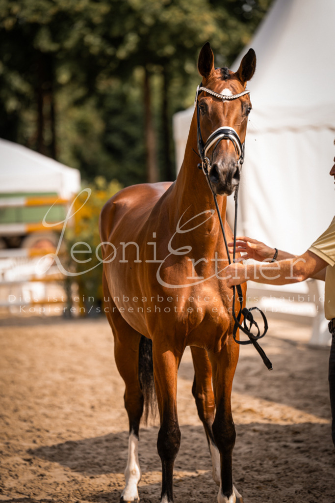 FrER00105 | Leoni Ertmer Photography - Realisiert mit Pictrs.com