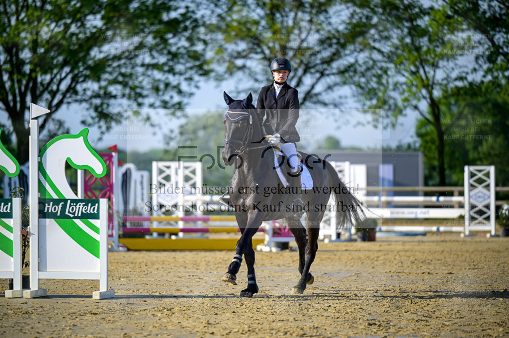 Reitturnier Lienen | Entdecke hochwertige Reitturnierfotos von Foto Oger. Professionell, emotional und authentisch – jetzt Lieblingsmomente im Shop bestellen. - Realisiert mit Pictrs.com