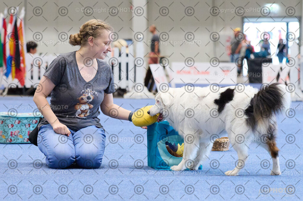 202406_ÖKV-IHA-Tulln24_DSC_4504 | proPHOTO - Realisiert mit Pictrs.com