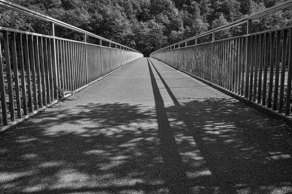 2021_09_24 DSC04948 | bridgeman - Realisiert mit Pictrs.com