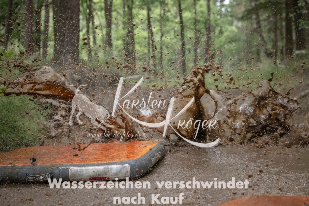 0916_ZZ91126T | kk-dogfotos