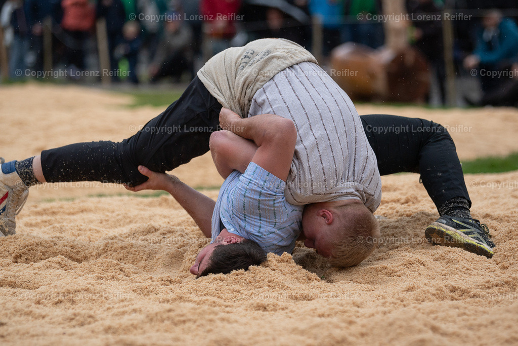 Schwingen -  Herisauer Obetschwinget 2024 | Herisau, 1.6.24, Schwingen - Herisauer Obetschwinget.