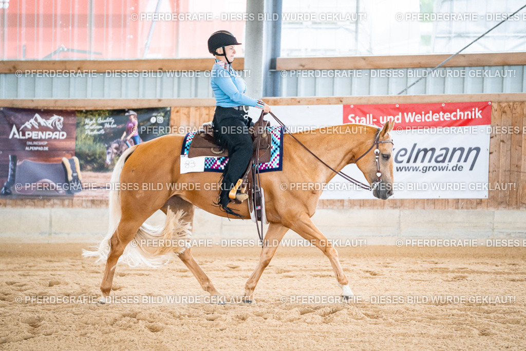 DSC01631 | Pferdegrafie