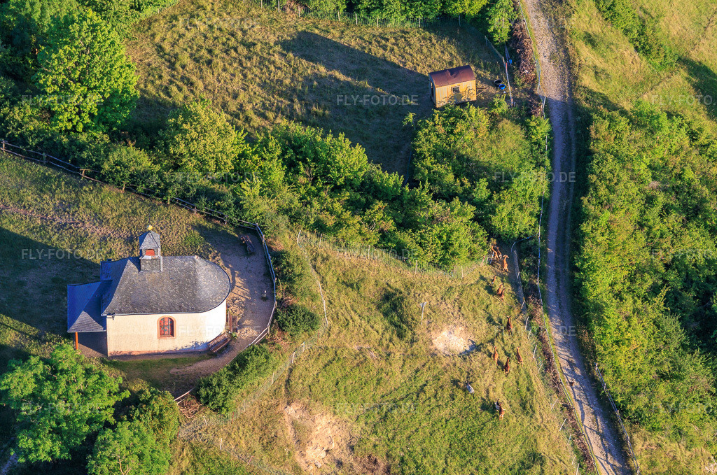 Luftbild: Kapelle Kleine Kalmit mit Ziegenherde im Ortsteil Arzheim in Landau im Bundesland Rheinland-Pfalz in Deutschland. – Foto: IMG_157599.jpg vom 18.06.2026 durch Werner Riehm/FLY-FOTO.de – Auflösung des Originals: 4947 x 3280 px