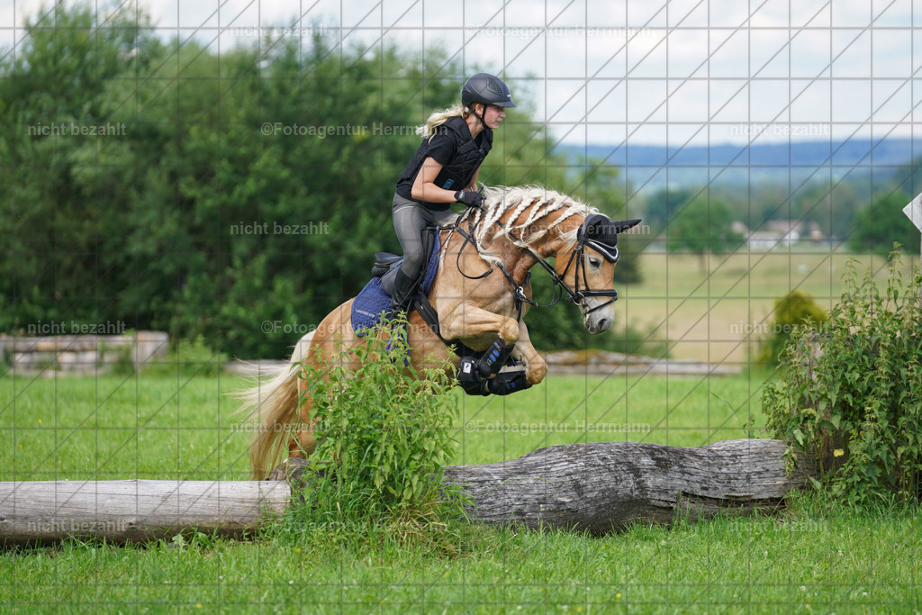 20240622-FAH07960 | Turnierfotografen Bayern, Reitsportbilder aus dem Geländekurs mit Felix Etzel auf dem Gut Waitzacker 2024