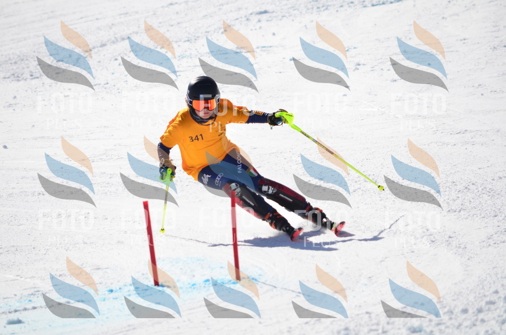 C9729 | holidayphoto