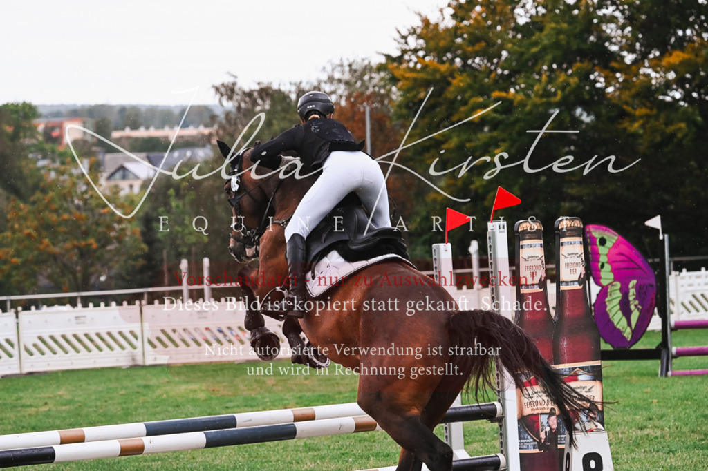 DSC_6153 | Pferde- und Turnierfotografie in Westsachsen. Pferdeportraits, Auftragszeichnungen und intuitive Kunst.