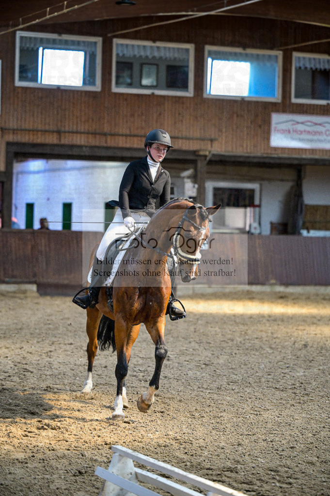 Reitturnier Voxtrup | Entdecke hochwertige Reitturnierfotos von Foto Oger. Professionell, emotional und authentisch – jetzt Lieblingsmomente im Shop bestellen.Deutschlandweite Turnierfotografie. - Realisiert mit Pictrs.com
