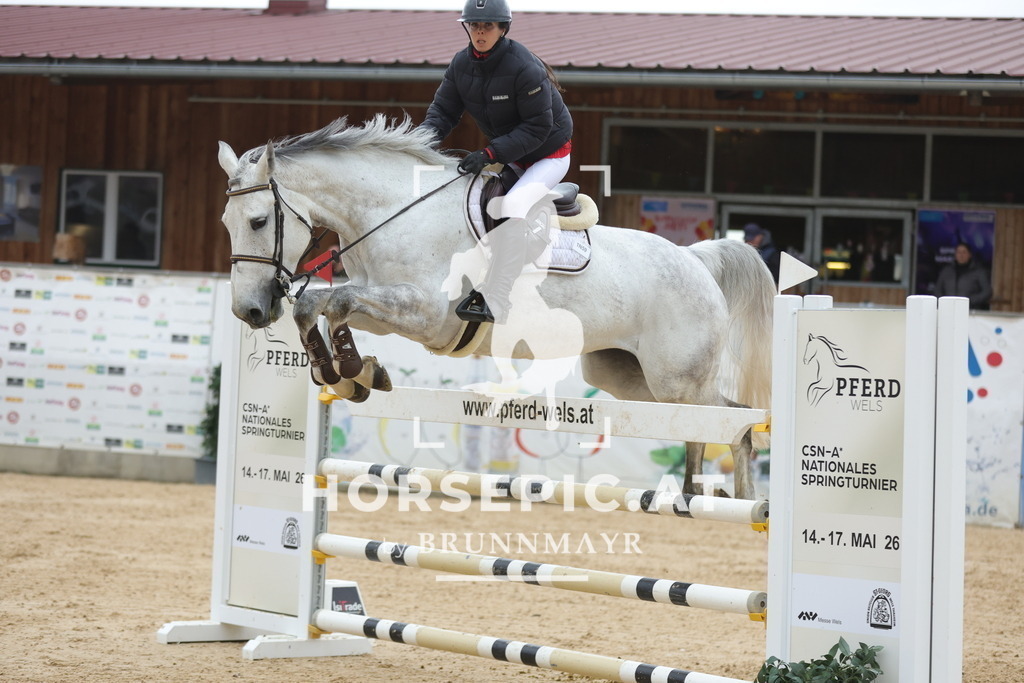 0P6A4390 | Willkommen bei Brunnmayr - Design & Fotografie – Ihrem Spezialisten für Reitturniere und Pferdeveranstaltungen in Oberösterreich, Salzburg und Bayern! Seit über 17 Jahren sind wir leidenschaftlich dabei.