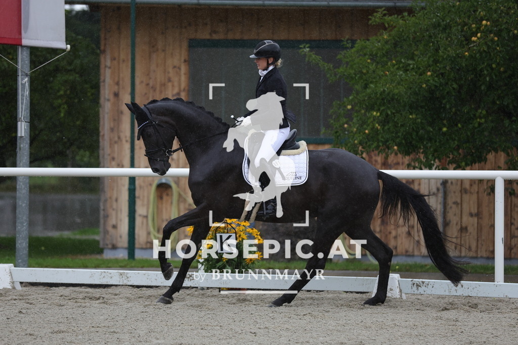 0P6A0468 | Willkommen bei Brunnmayr - Design & Fotografie – Ihrem Spezialisten für Reitturniere und Pferdeveranstaltungen in Oberösterreich, Salzburg und Bayern! Seit über 17 Jahren sind wir leidenschaftlich dabei.