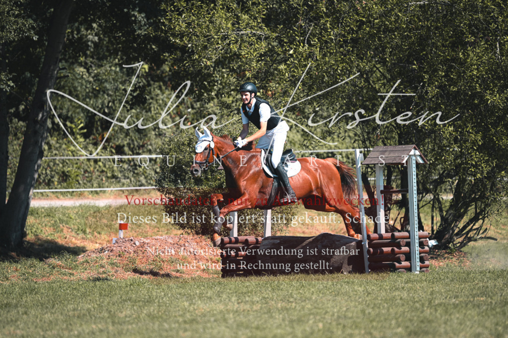 DSC_7977 | Pferde- und Turnierfotografie in Westsachsen. Pferdeportraits, Auftragszeichnungen und intuitive Kunst.