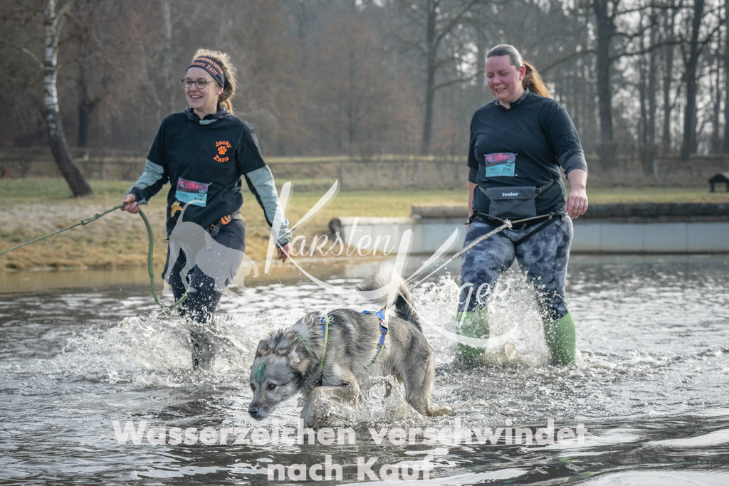 1000_ZZ95318 | kk-dogfotos