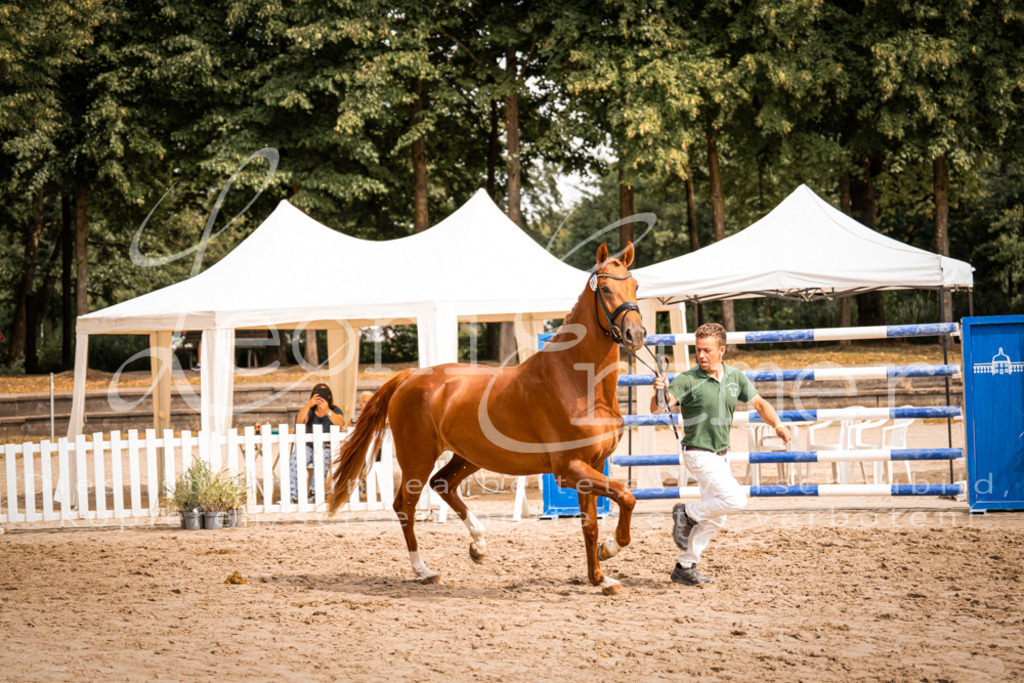 7.Fr00038 | Leoni Ertmer Photography - Realisiert mit Pictrs.com