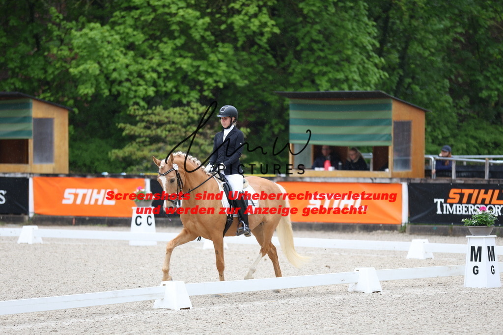 A40A7037 | lmwpictures - Realisiert mit Pictrs.com