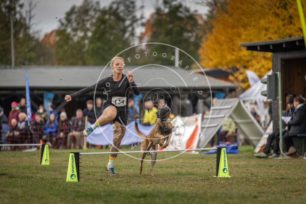 Pfotenfotografie_DV3A6744 | Hundefotografie, Tierfotograf, Pfotenfotografie, Fotoshooting Hund, Hunde Portrait, Hundesport, Hundeportraits, Heideshooting, Hunde, Sportfotograf, Hundefotograf, Turnierhundsport, THS,  - Realisiert mit Pictrs.com