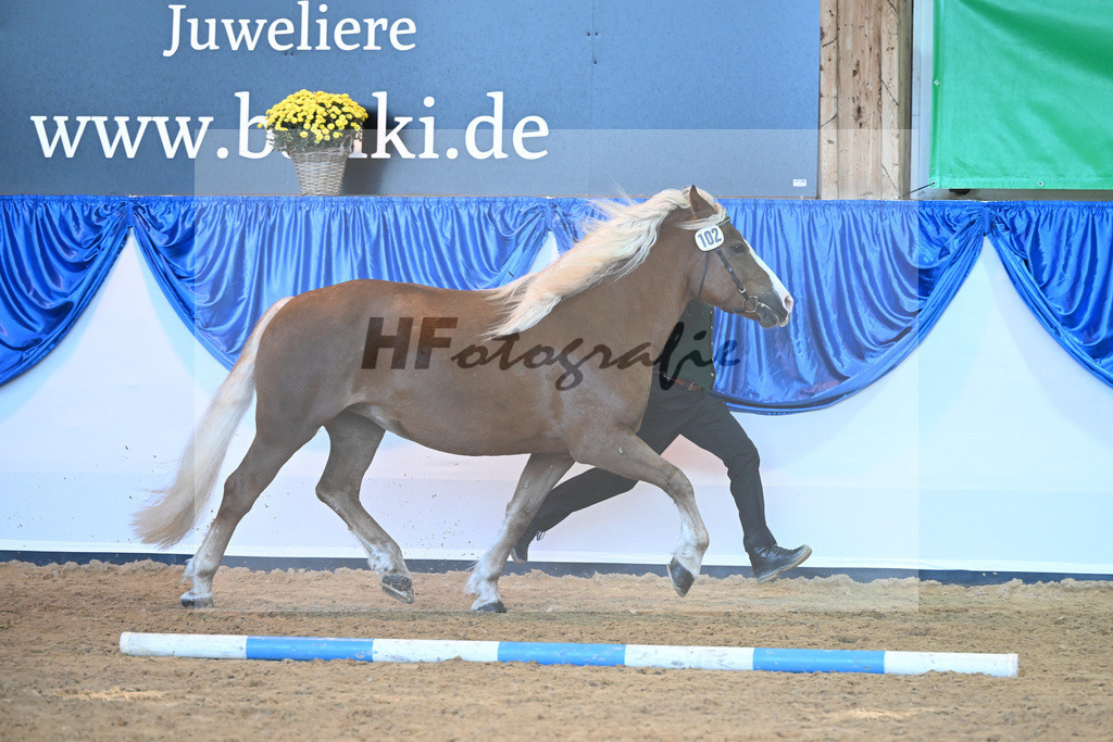 Kat-Nr. 102 Malea_ZG Schmidt_53220713 | hf-fotografie - Realizzato con Pictrs.com