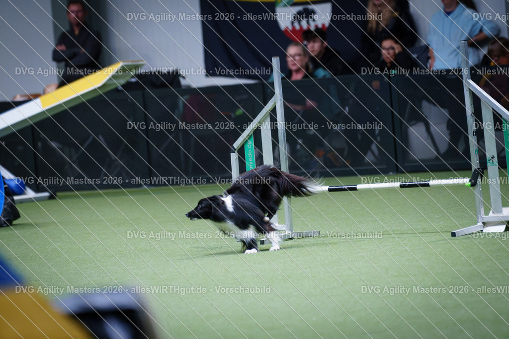 allesWIRTHgut_Tierfotografie-DVG_Agility_Masters_2026-13_56-7R504287 | Professionelle Tierfotografie in Mönchengladbach von Daniel Wirth (allesWIRTHgut). Liebevolle & natürliche Bilder von Hunden & Katzen für unvergessliche Erinnerungen.