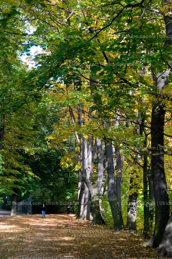 10049-1174 - Brühlpark | Stockfoto und Bilderpool mit Bildmaterial aus Deutschland, dem Harz, Halberstadt, Quedlinburg, Wernigerode und weltweit. Qualitativ hochwertige und professionelle Fotos anschauen und kaufen. - Realisiert mit Pictrs.com