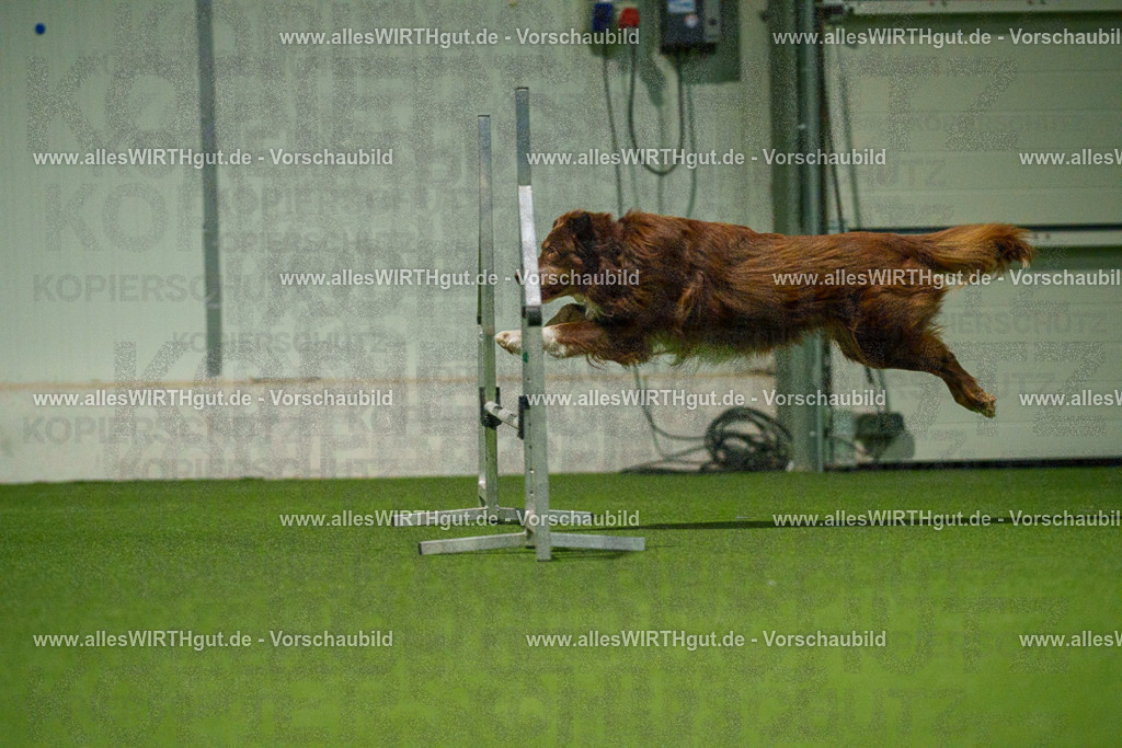 7R509072 | Professionelle Tierfotografie in Mönchengladbach von Daniel Wirth (allesWIRTHgut). Liebevolle & natürliche Bilder von Hunden & Katzen für unvergessliche Erinnerungen.