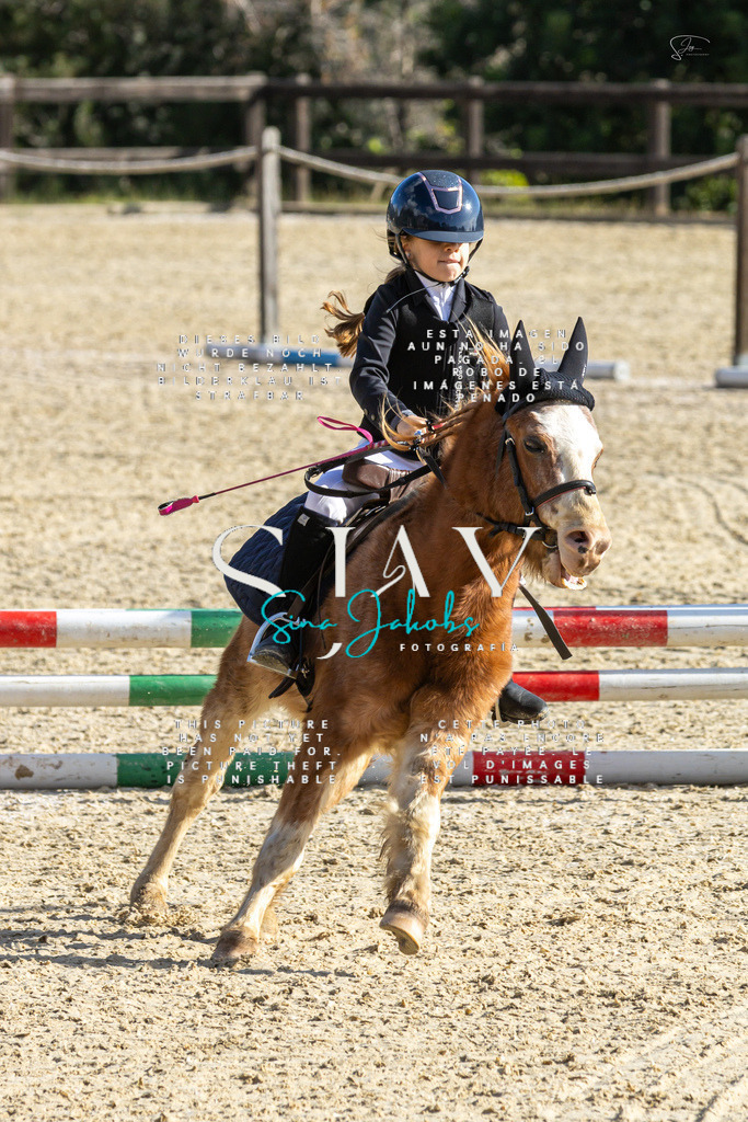 IMG_3535 | s-jay-photography - Realisiert mit Pictrs.com