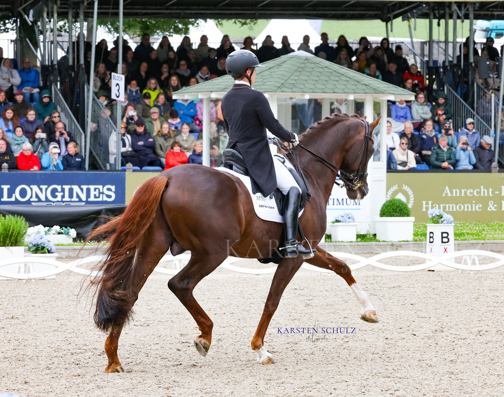 1B3A8335 | Reitsport Reiten