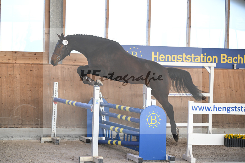 Kat-Nr. 20 Lucia M v. Conthargos_Meindl_14262163 | hf-fotografie - Realisiert mit Pictrs.com