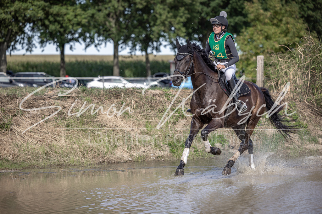20250907-_3LI2535 | Tierfotografie Pferde, Hunde, Katzen, Haustiere.
Turnierfotografie Reitturniere, Reiten, Springreiten, Dressur in Hanau, dem Main-Kinzig-Kreis und dem Rhein-Main- Gebiet um Frankfurt