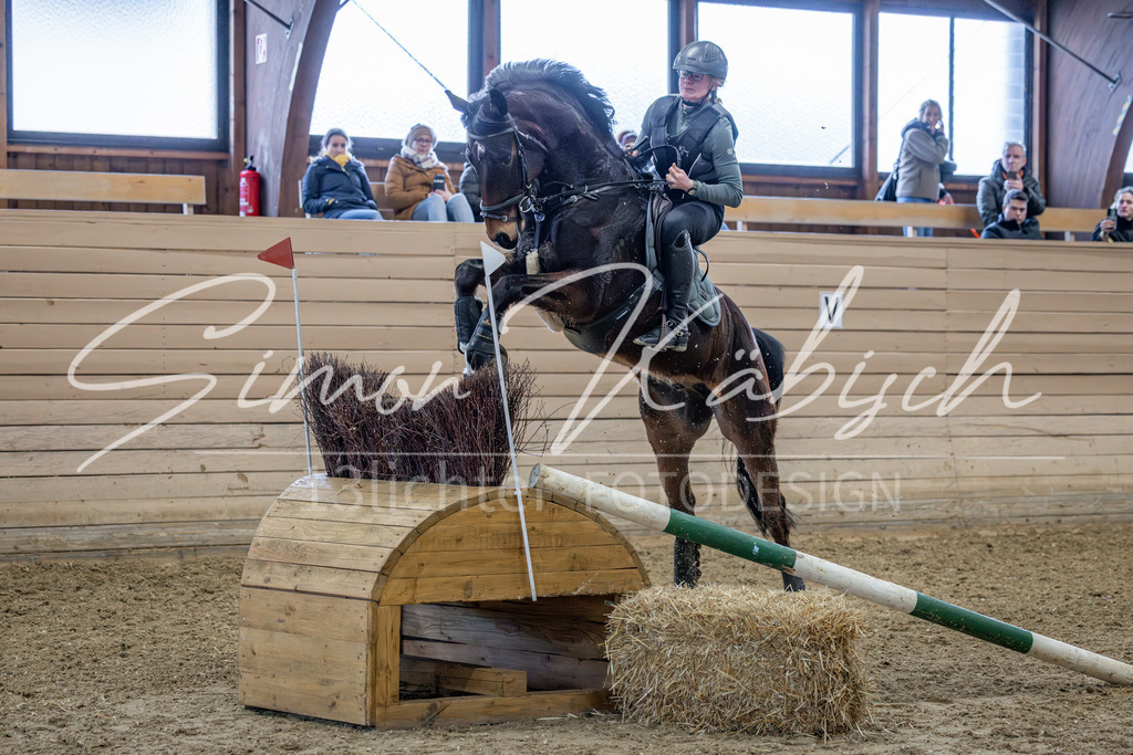 20260222-_3LI1758 | Tierfotografie Pferde, Hunde, Katzen, Haustiere.
Turnierfotografie Reitturniere, Reiten, Springreiten, Dressur in Hanau, dem Main-Kinzig-Kreis und dem Rhein-Main- Gebiet um Frankfurt