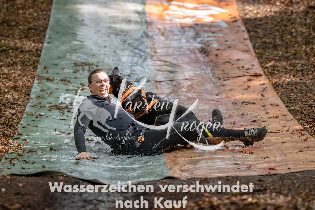 1229_ZZ90347-Bearbeitet | kk-dogfotos