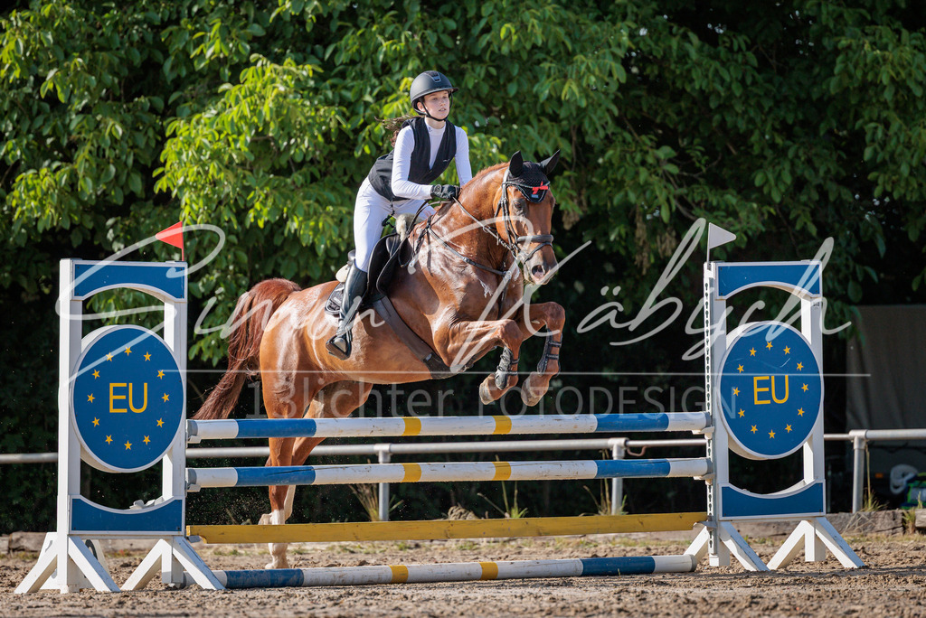 20260529-_3LI0363 | Tierfotografie Pferde, Hunde, Katzen, Haustiere.
Turnierfotografie Reitturniere, Reiten, Springreiten, Dressur in Hanau, dem Main-Kinzig-Kreis und dem Rhein-Main- Gebiet um Frankfurt