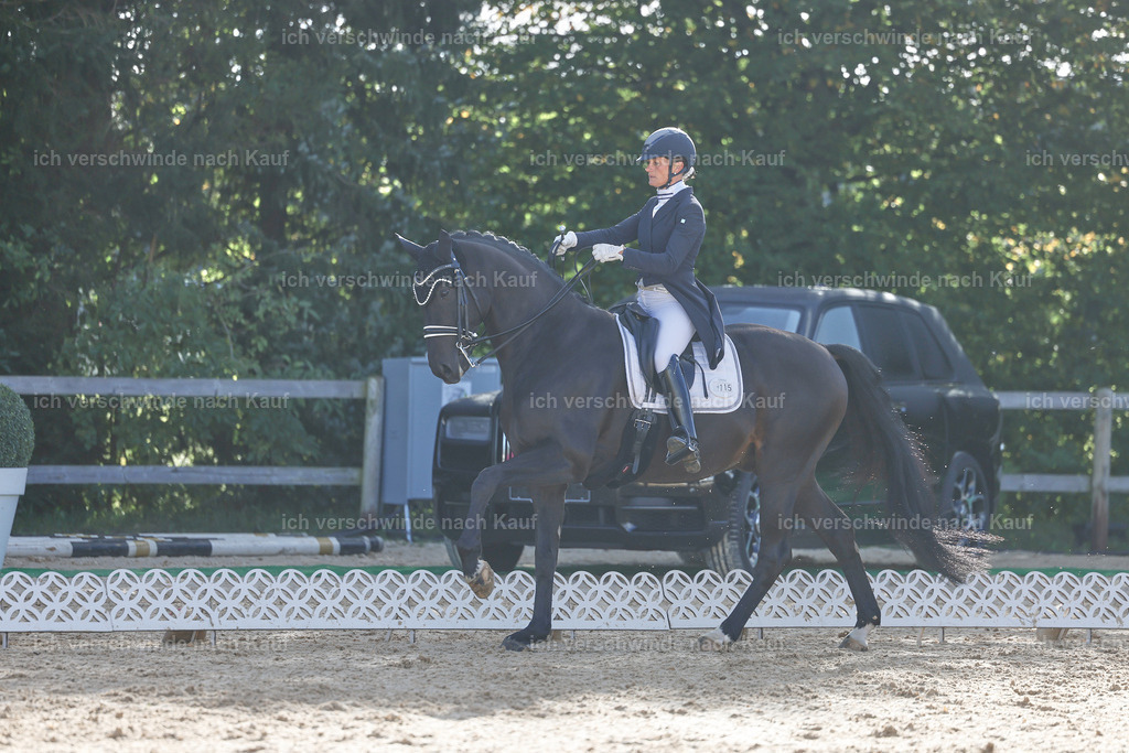 09_1-115-DRESSUR  S_  -StoibPH-5590 | working equitationturnier fotograf videograf stoibphotography marixx film working equitation deutschland reitsport turnierfotografie eventfotografie equestrian events
