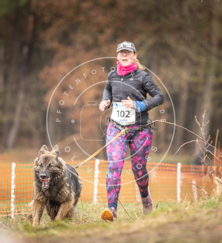 DV3A0572 | Hundefotografie, Tierfotograf, Pfotenfotografie, Fotoshooting Hund, Hunde Portrait, Hundesport, Hundeportraits, Heideshooting, Hunde, Sportfotograf, Hundefotograf, Turnierhundsport, THS,  - Realisiert mit Pictrs.com
