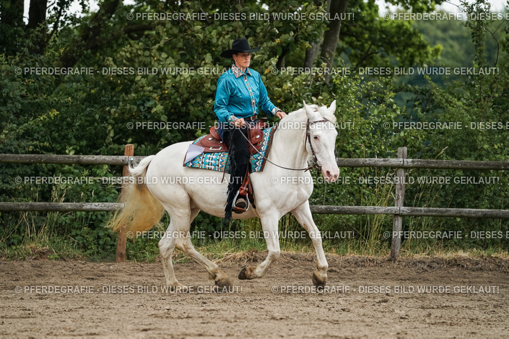 DSC03767 | Pferdegrafie