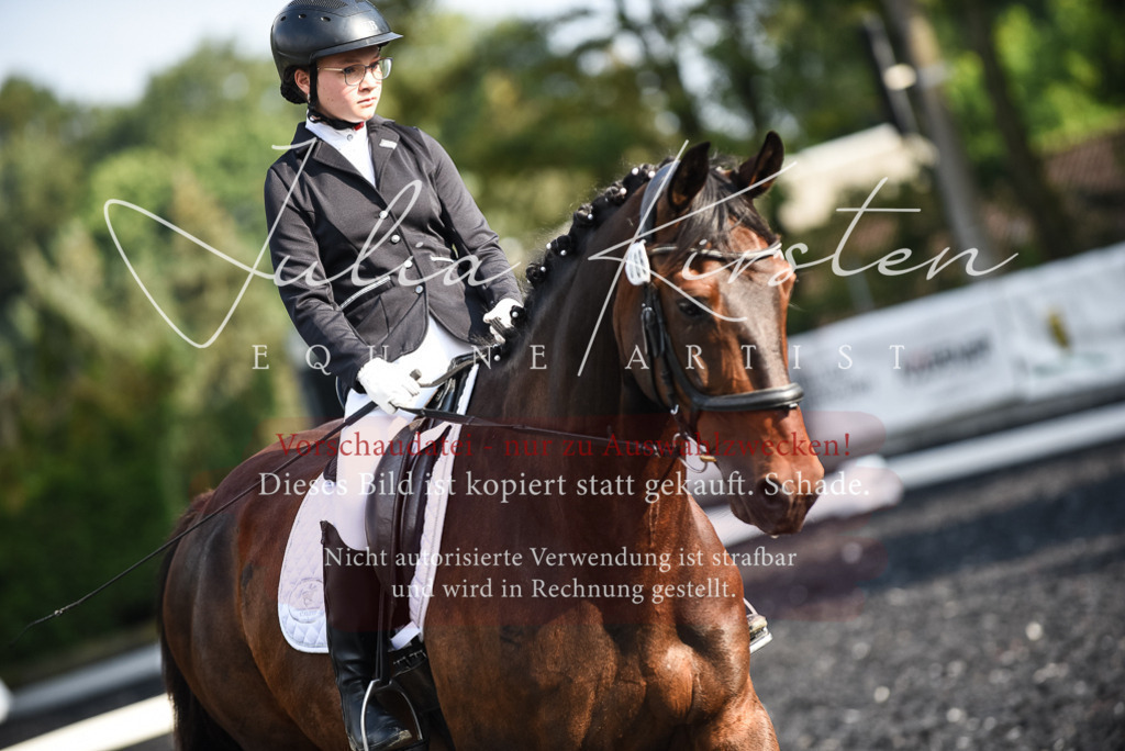 DSC_3294 | Pferde- und Turnierfotografie in Westsachsen. Pferdeportraits, Auftragszeichnungen und intuitive Kunst.