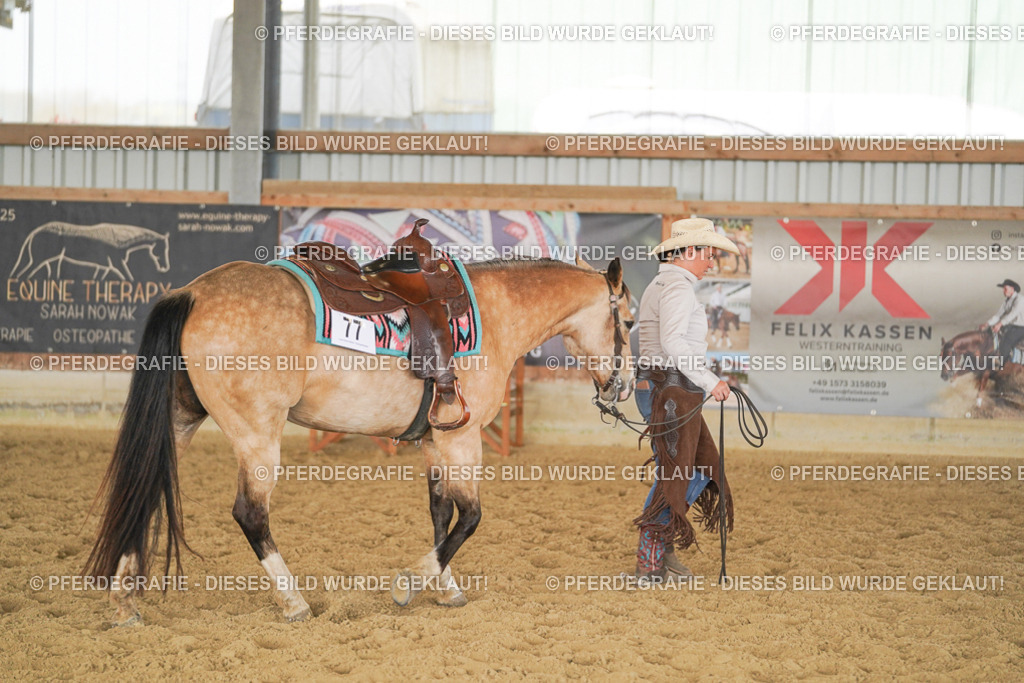 DSC02314 | Pferdegrafie